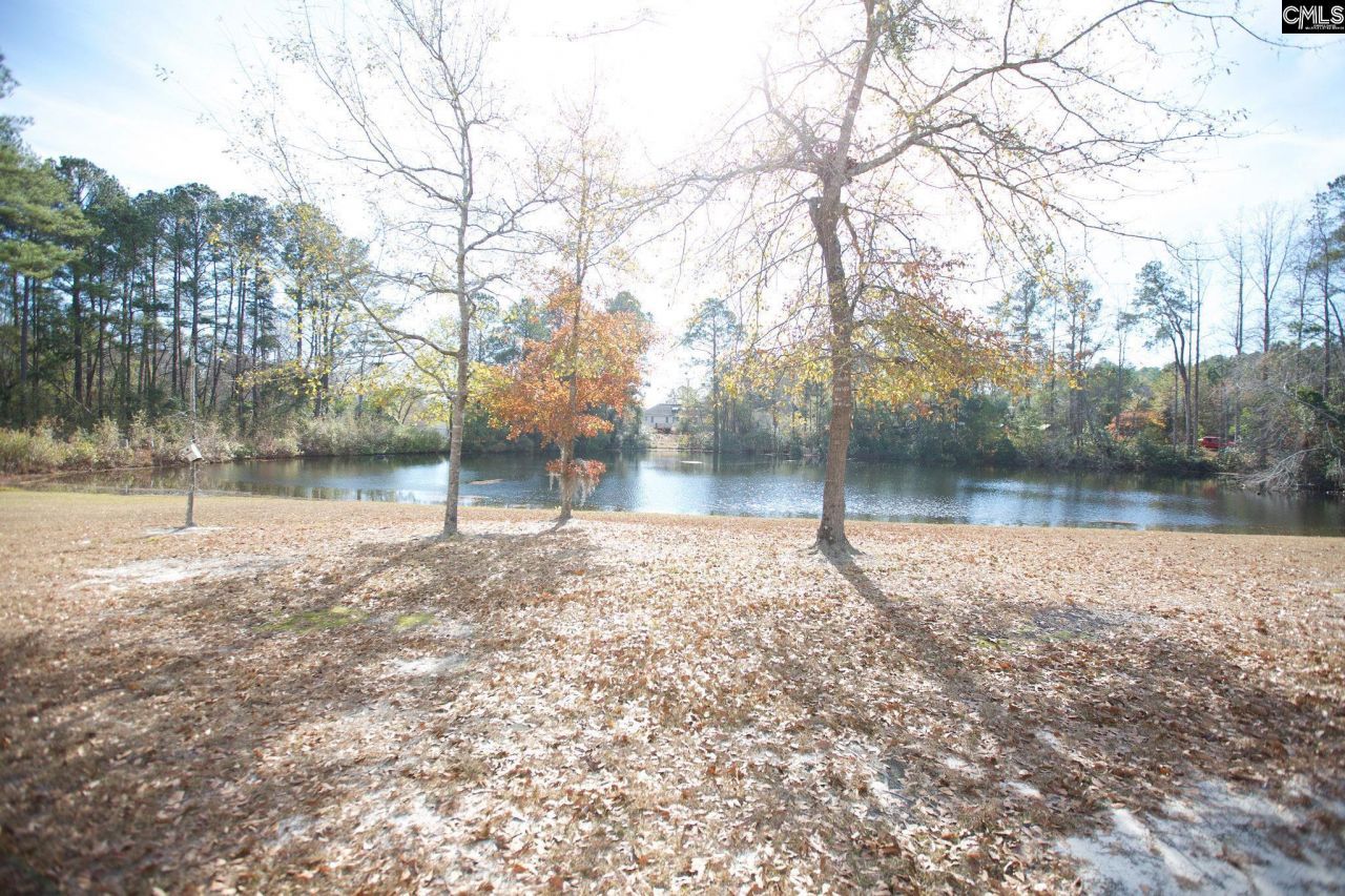 318 W Pond Court Photo 21