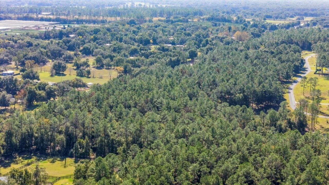 24250 Deep Springs Loop, Eustis, FL 32736 Photo