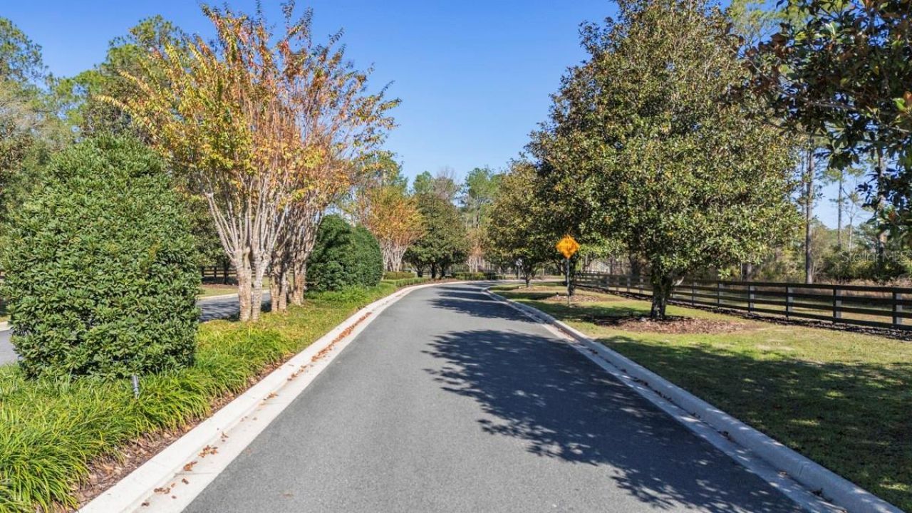 24250 Deep Springs Loop, Eustis, FL 32736 Photo