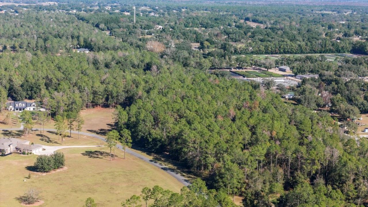 24250 Deep Springs Loop, Eustis, FL 32736 Photo