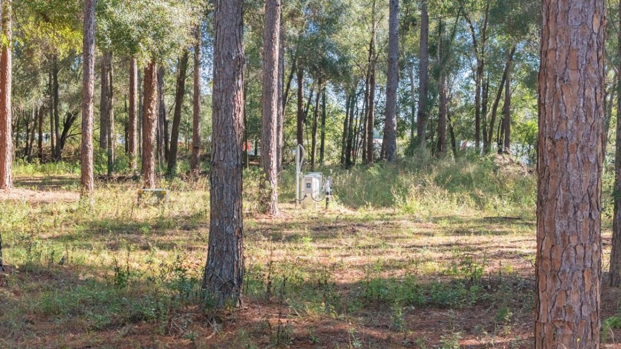24250 Deep Springs Loop, Eustis, FL 32736 Photo