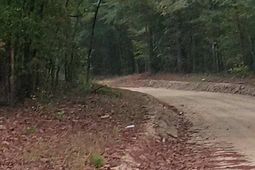 116 Rhinehart Street  photo 4