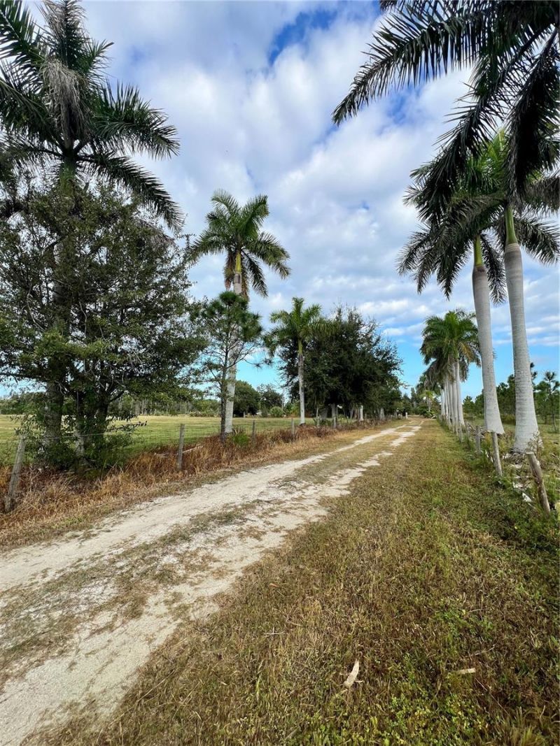 4501 Royal Palm Ranch Drive, Saint James City, FL 33956 Photo