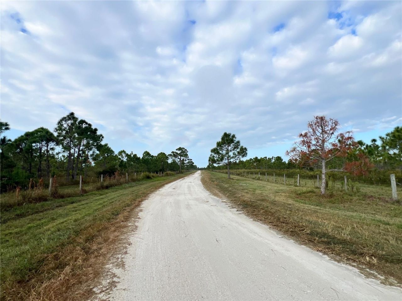 4501 Royal Palm Ranch Drive, Saint James City, FL 33956 Photo