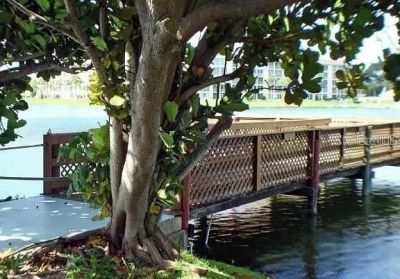 4242 Heron Way, Unit B323, Bradenton, FL 34205 Photo