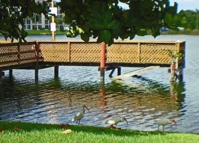 4242 Heron Way, Unit B323, Bradenton, FL 34205 Photo