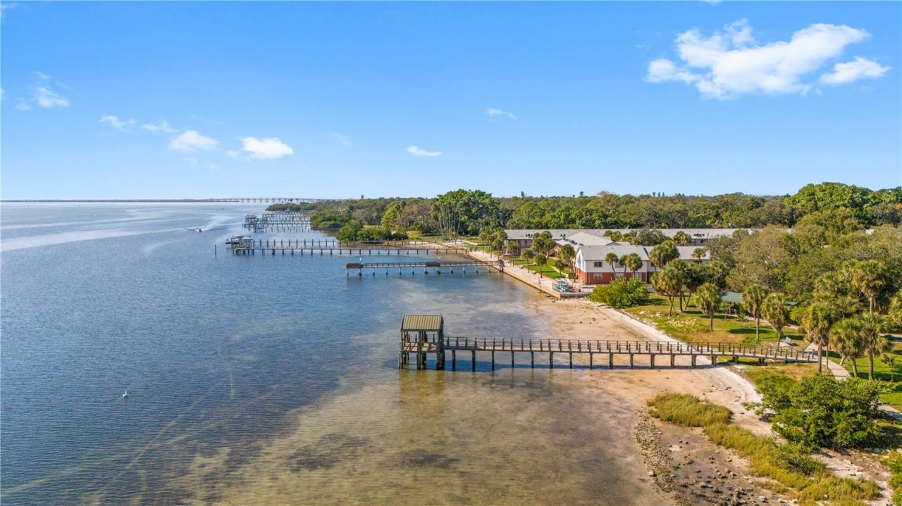 6850 7th Street S, Saint Petersburg, FL 33705 Photo