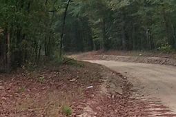 113 & 119 Rhinehart Street photo 4