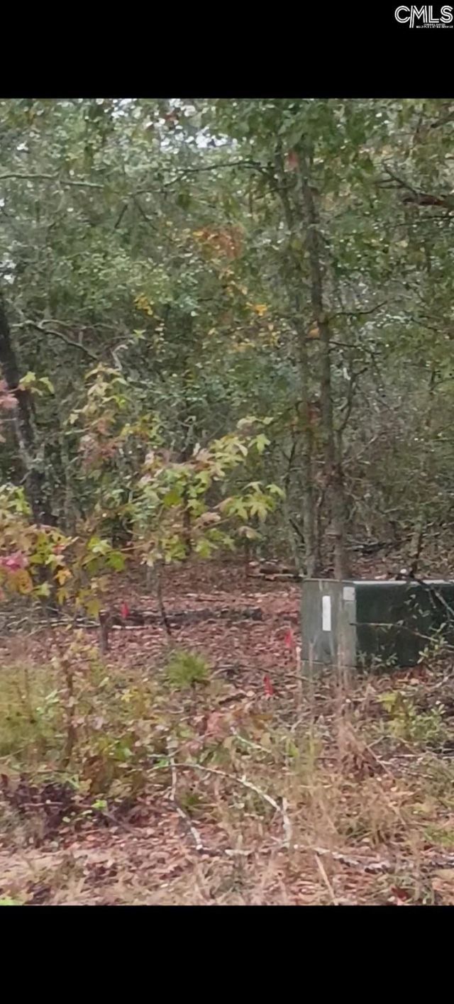 113 & 119 Rhinehart Street Photo 5