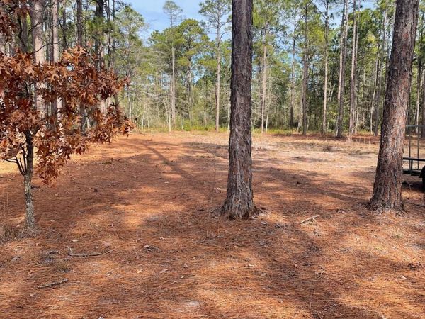 130 Bay Ridge Road, Harrells, NC 28444