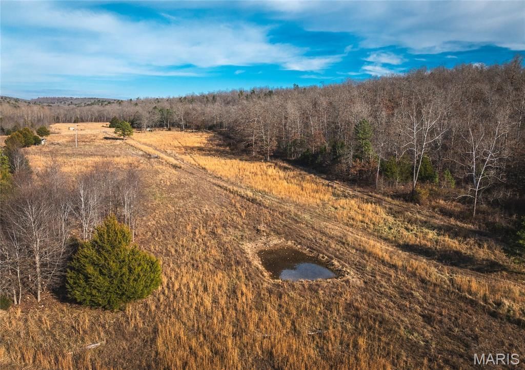 000 County Road 126, Annapolis, MO 63620 Main Photo