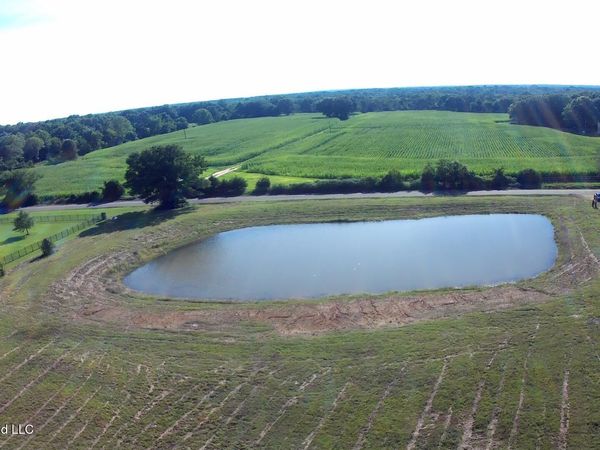 1127 Breedlove Road, Michigan City, MS 38647