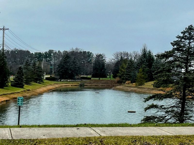 3853 Winding Path Drive, Canal Winchester, OH 43110 Photo 3