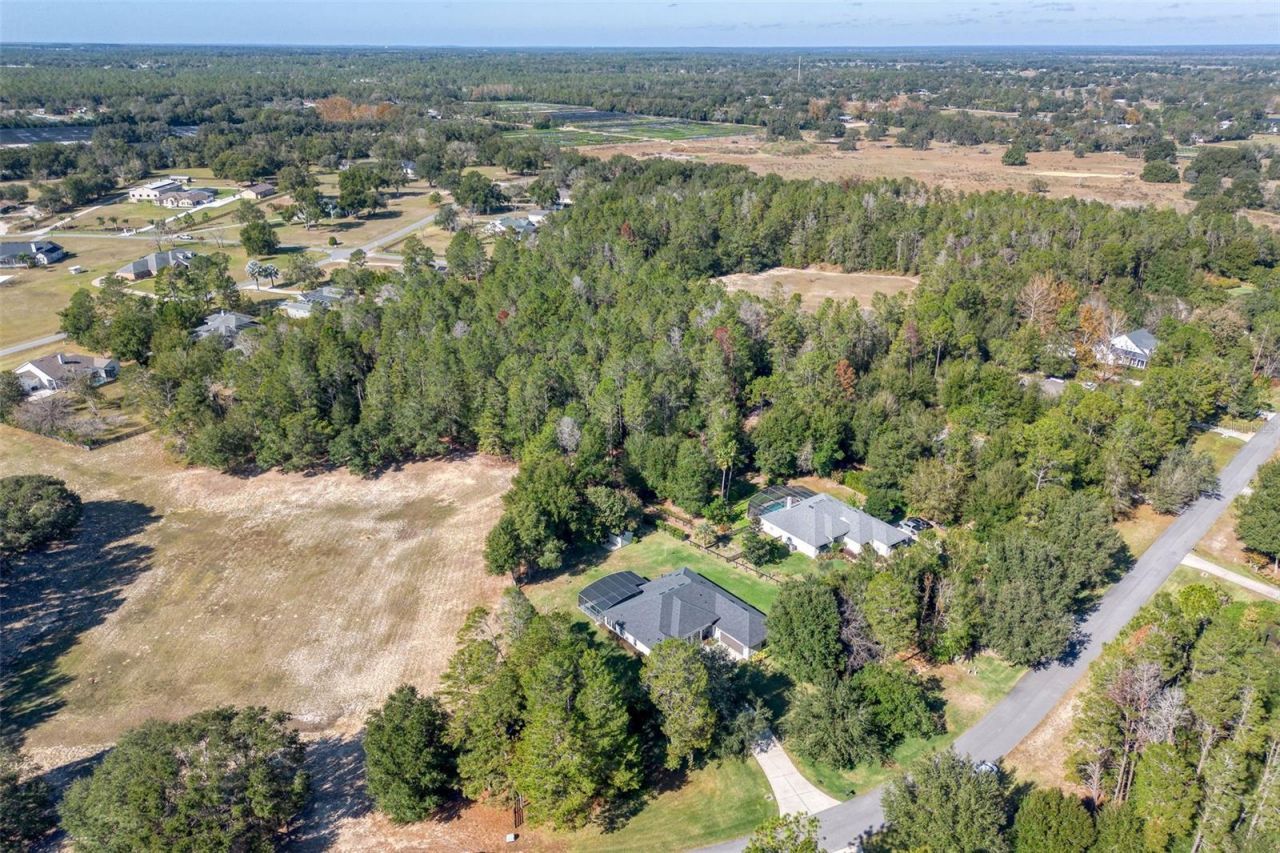 36752 Nashua Boulevard, Sorrento, FL 32776 Photo