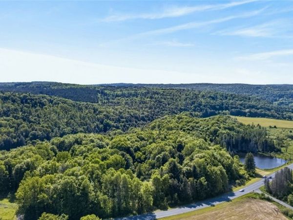 L1 County Road 16, Otselic, NY 13815