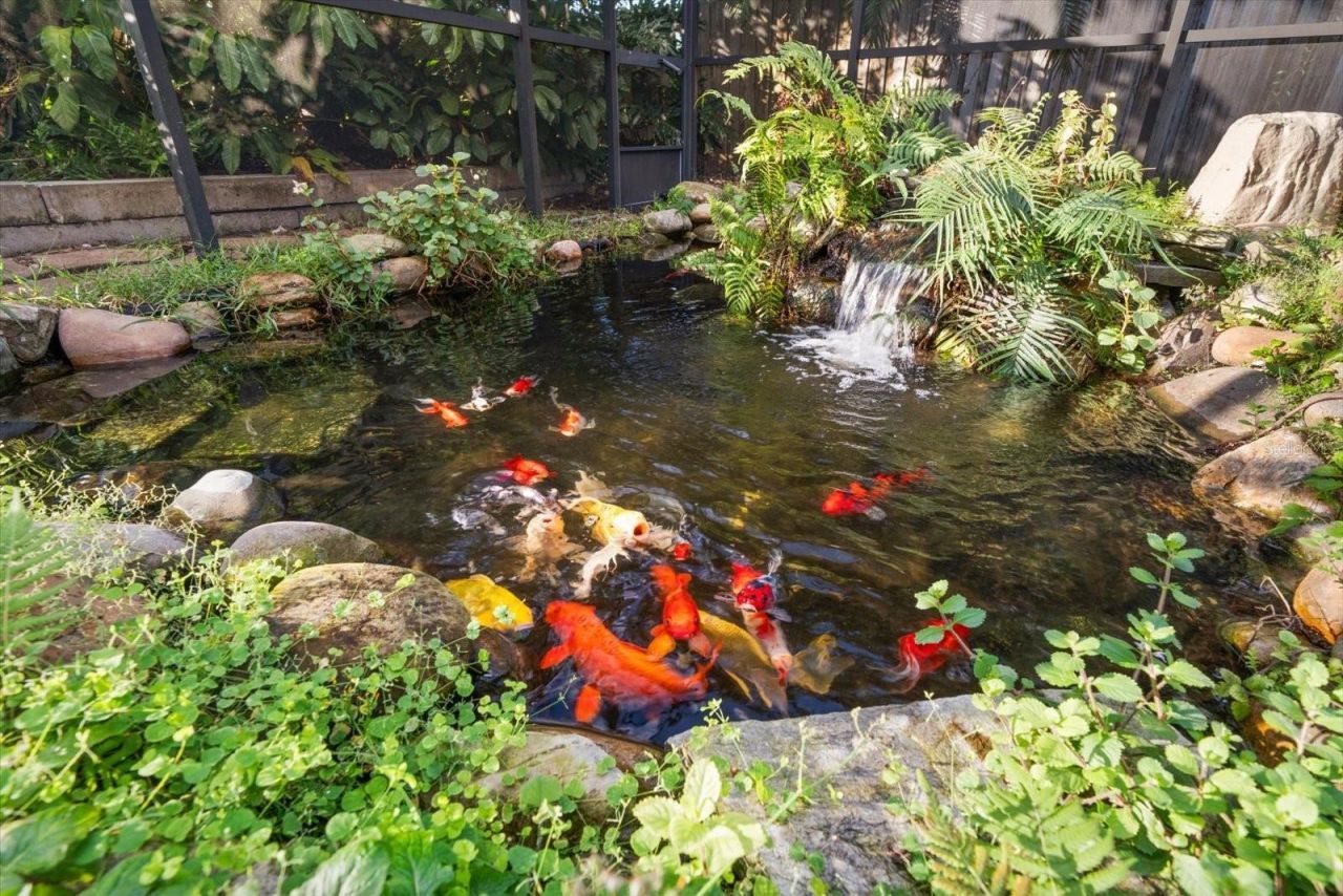 3408 Fairfield Trail, Clearwater, FL 33761 Photo