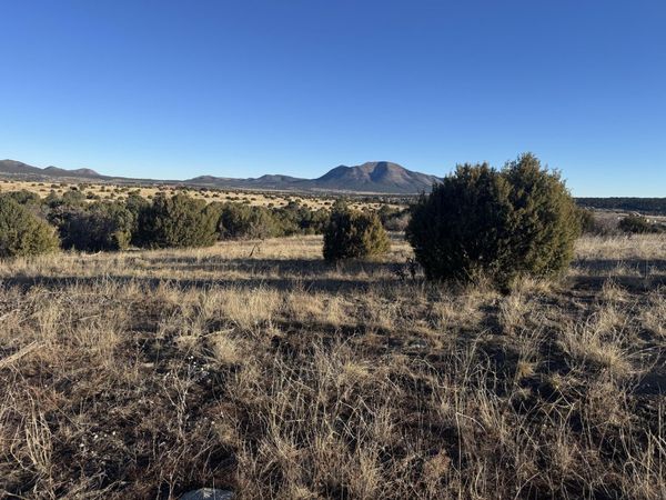 19 Bolivar Loop, Tijeras, NM 87059