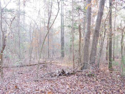 133 archway Court , Little Mountain, SC 29075