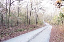 133 Archway Court  photo 4