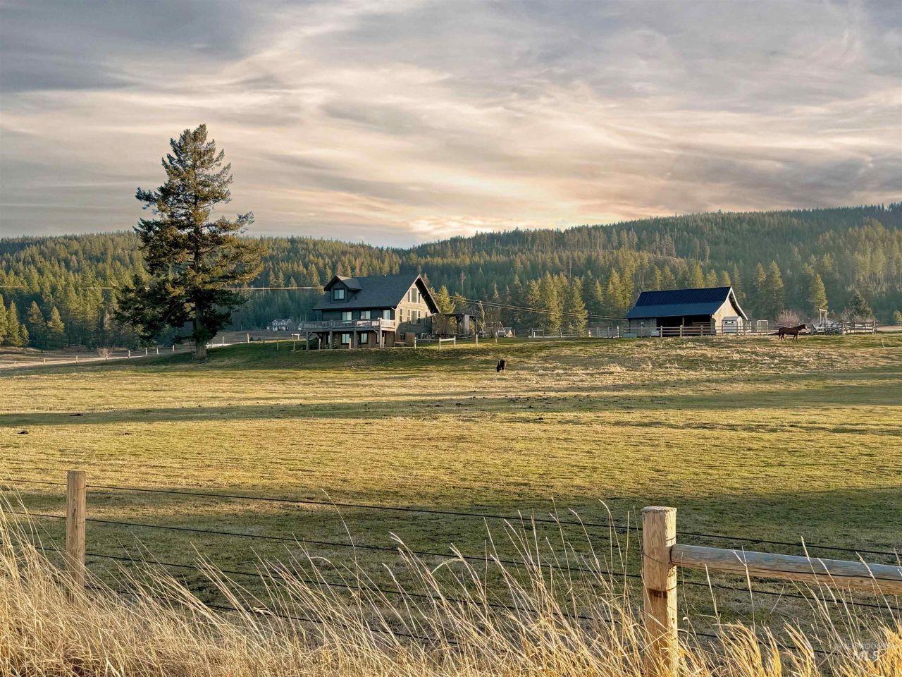 862 Whitetail Drive, Grangeville, ID 83530 Main Photo