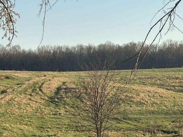 46 Caps rd, Indian Mound, TN 37079