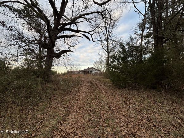 Roger Reid Road, Conehatta, MS 39057