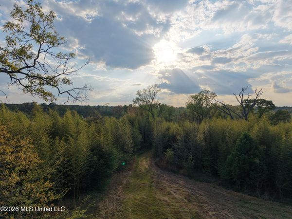 Roger Reid Road, Conehatta, MS 39057