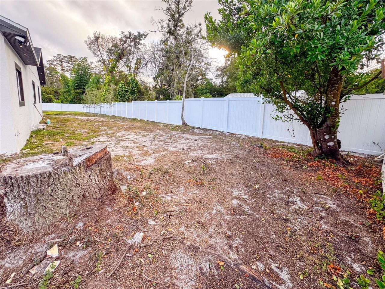 6402 N Woodlynne Avenue, Tampa, FL 33614 Photo