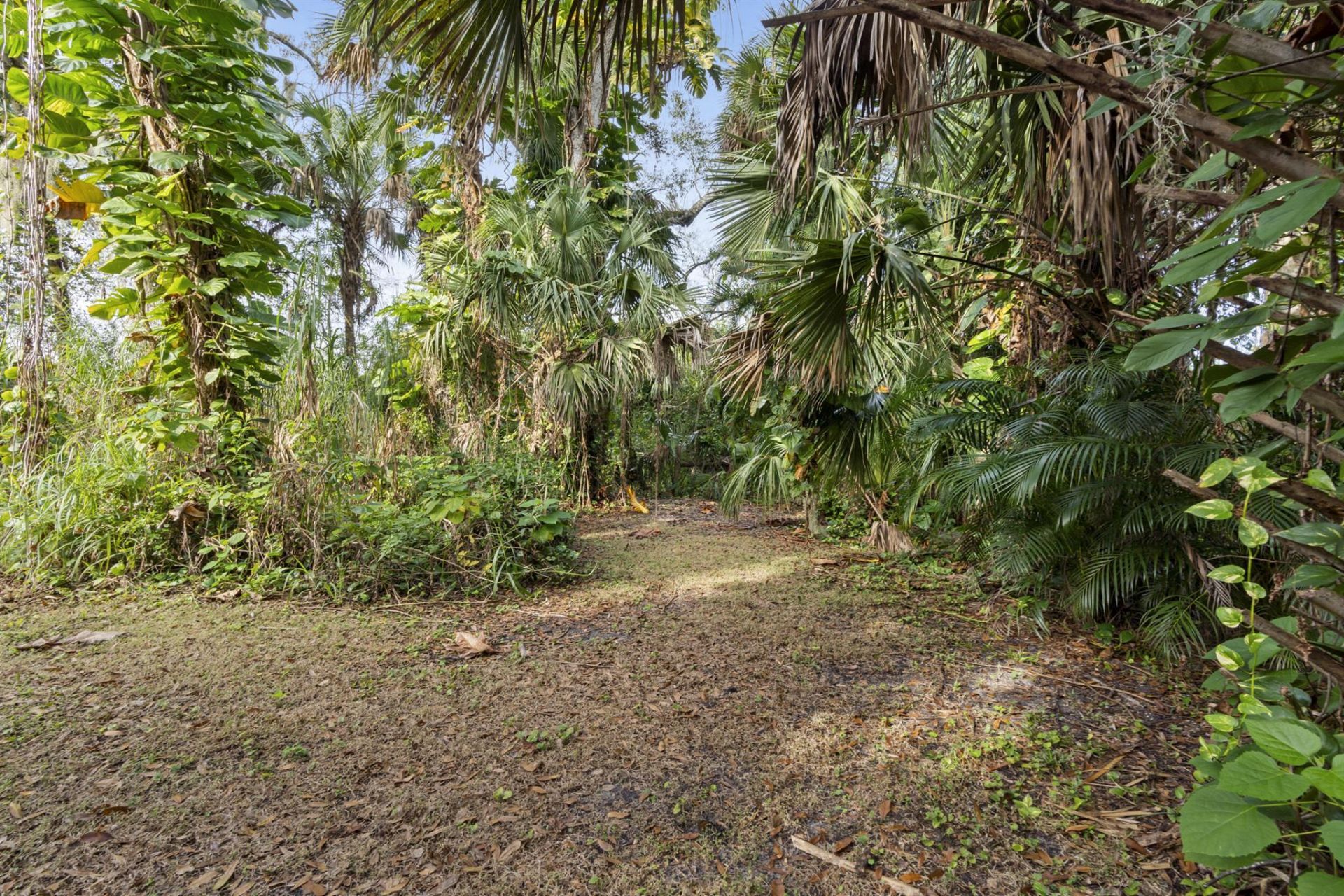 14700 SW Sonora Terrace, Indiantown, FL 34956 Photo