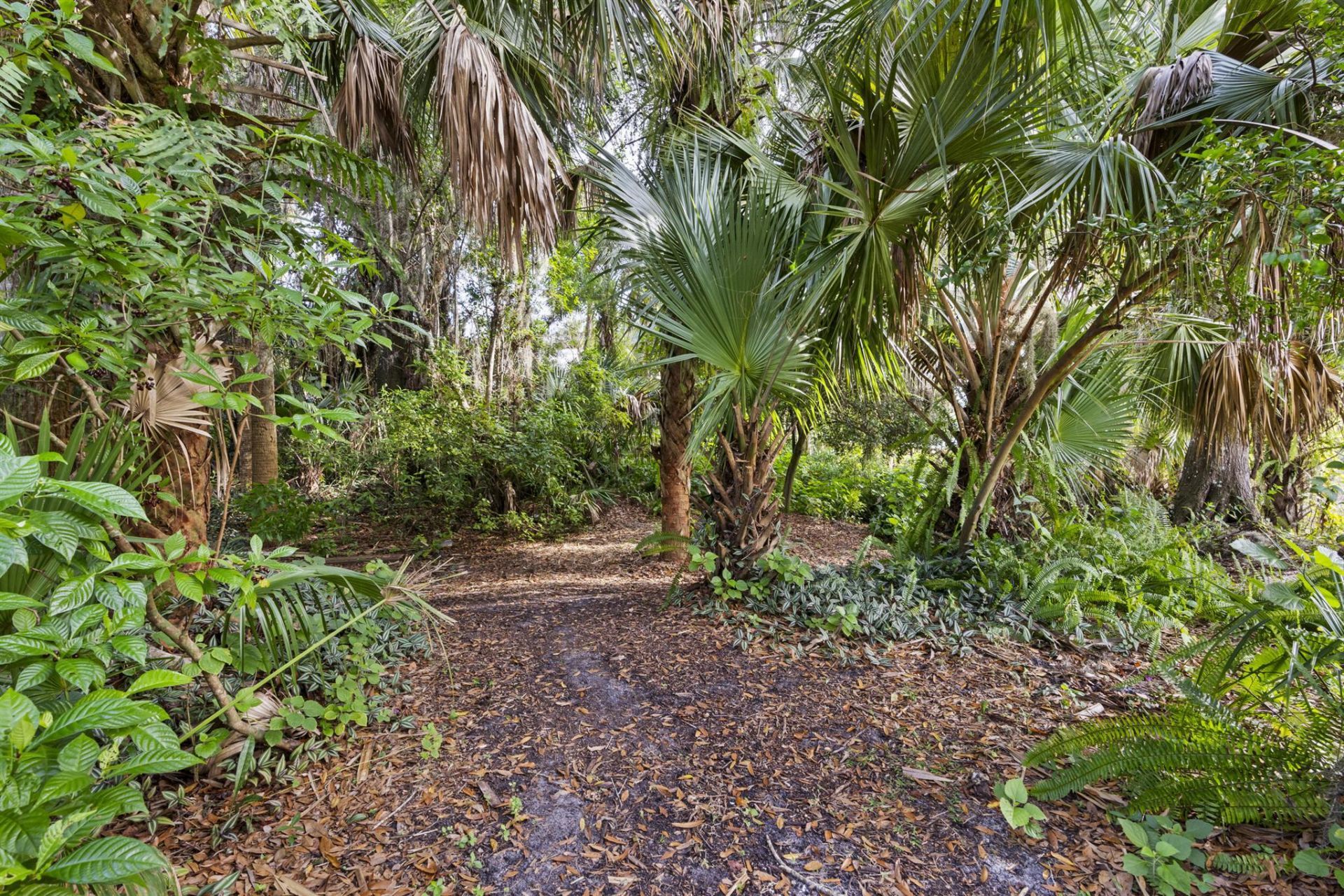 14700 SW Sonora Terrace, Indiantown, FL 34956 Photo