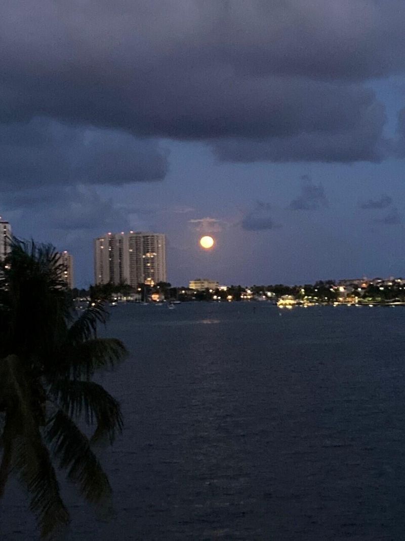 3040 Lake Shore Drive, Unit 504, Riviera Beach, FL 33404 Photo