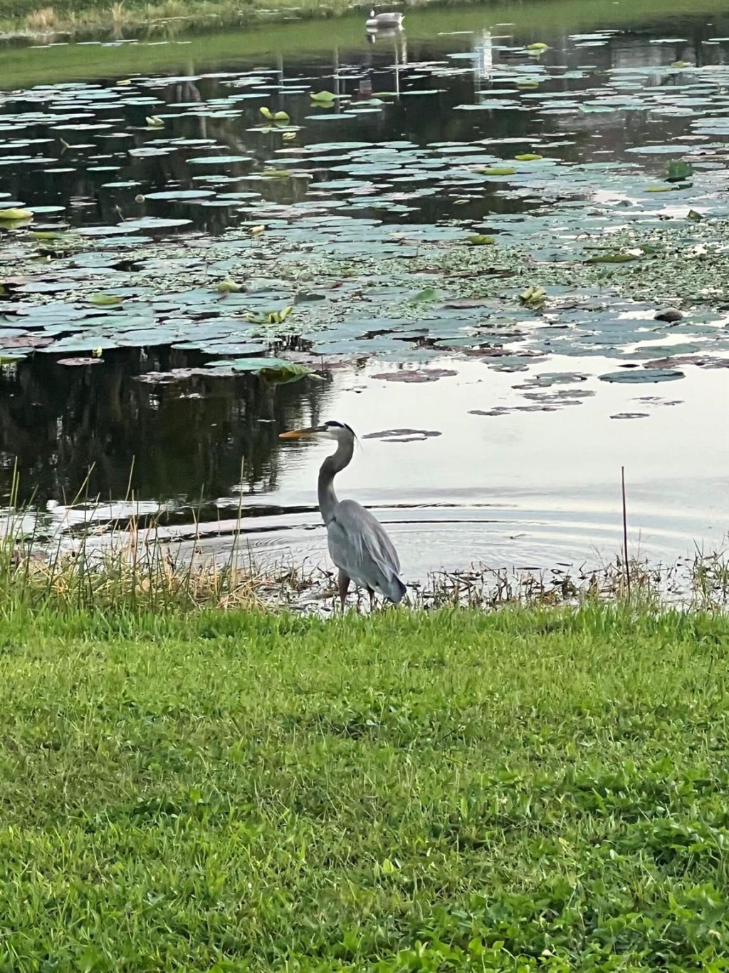 1605 S Club Drive, Wellington, FL 33414 Photo