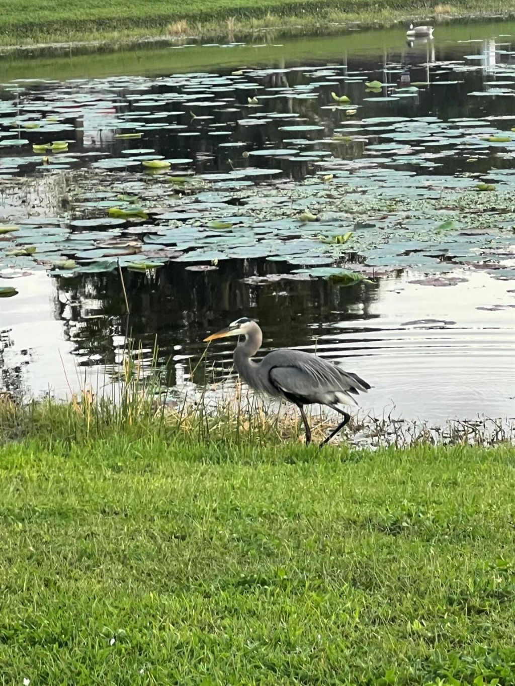 1605 S Club Drive, Wellington, FL 33414 Photo