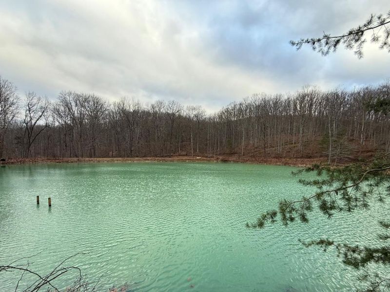 1056 Nace Corner Road, Mifflin Twp, OH 45646 Photo 45