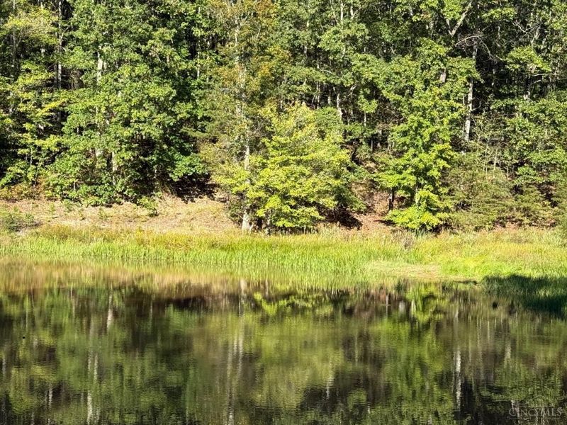 1056 Nace Corner Road, Mifflin Twp, OH 45646 Photo 51