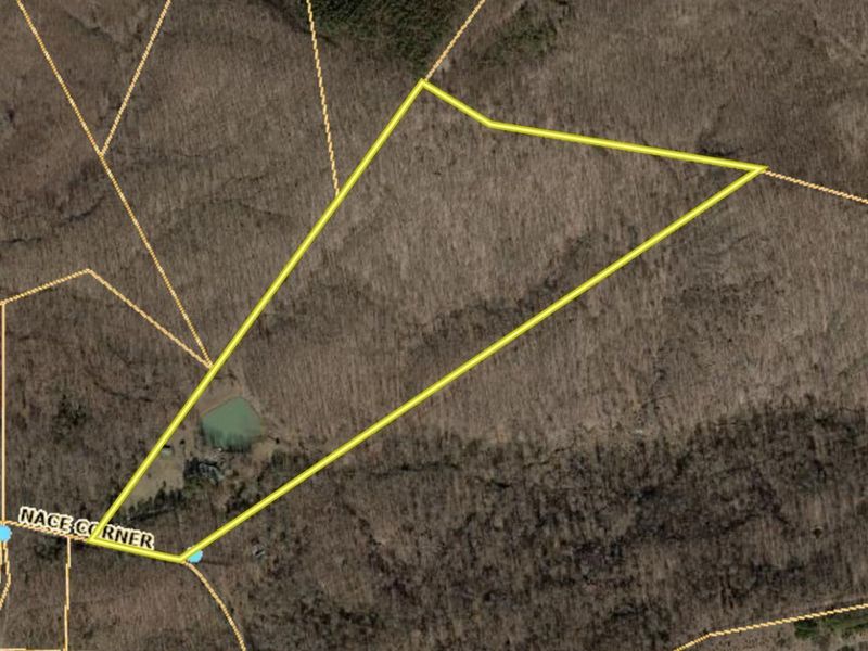 1056 Nace Corner Road, Mifflin Twp, OH 45646 Photo 52