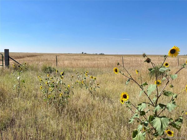 46850 County Road 46, Limon, CO 80828