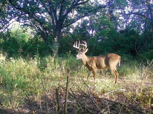 Argo Road, Independence, MO 64057