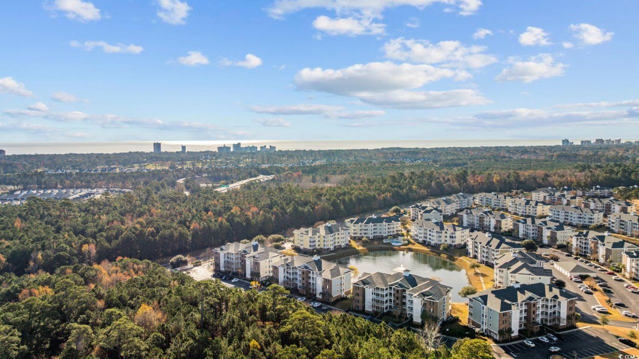 4847 Luster Leaf Circle Photo 31