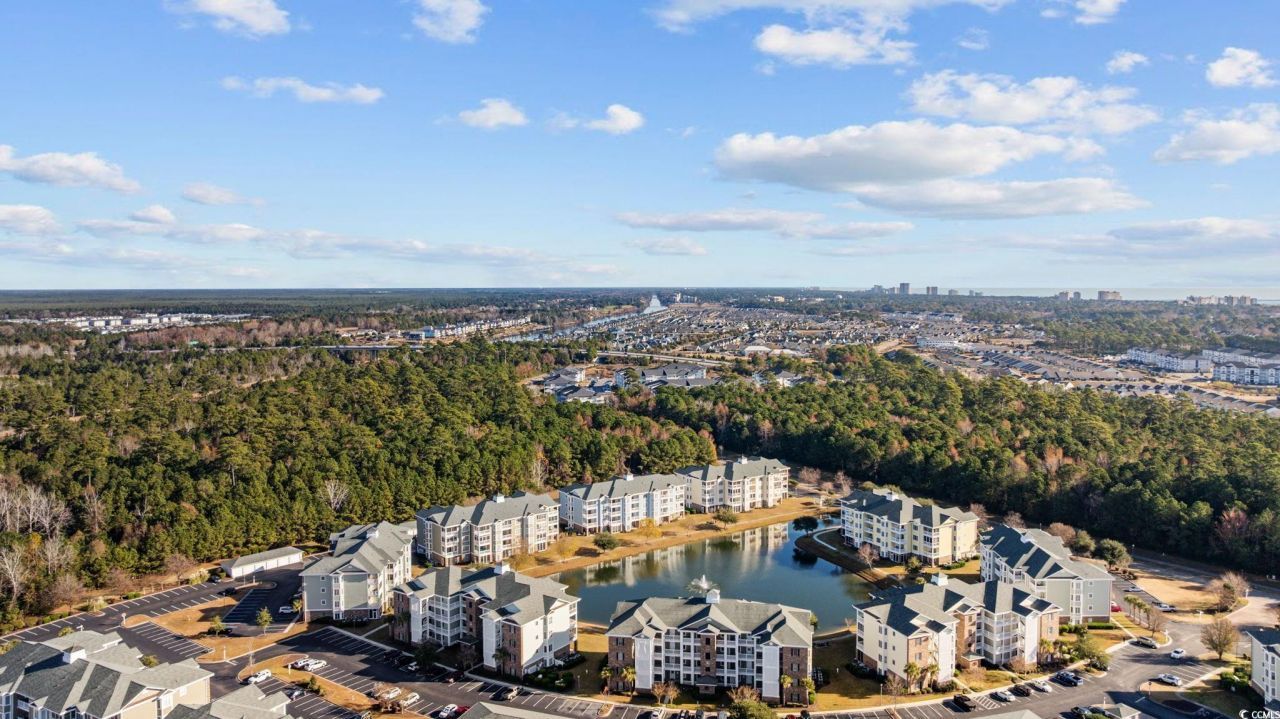 4847 Luster Leaf Circle Photo 37