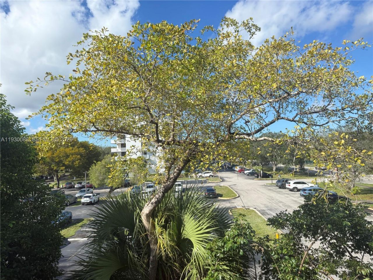 900 Tallwood Ave, Unit 306, Hollywood, FL 33021 Photo