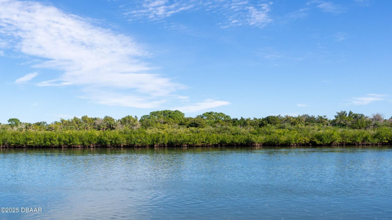 194 Lewis Street, Edgewater, FL 32141 Photo