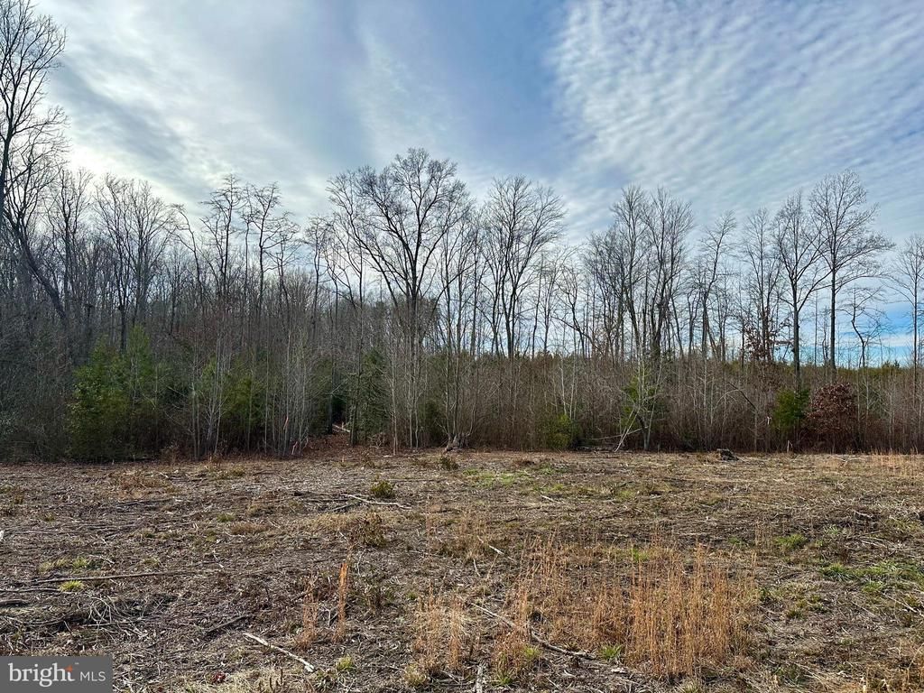 Lot 2 Belsches Rd, Bumpass, VA 23024 Main Photo