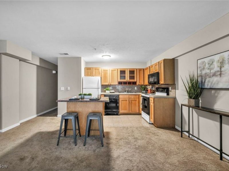 2222 Detroit Road, Unit 304, Cleveland, OH 44113 Photo 16