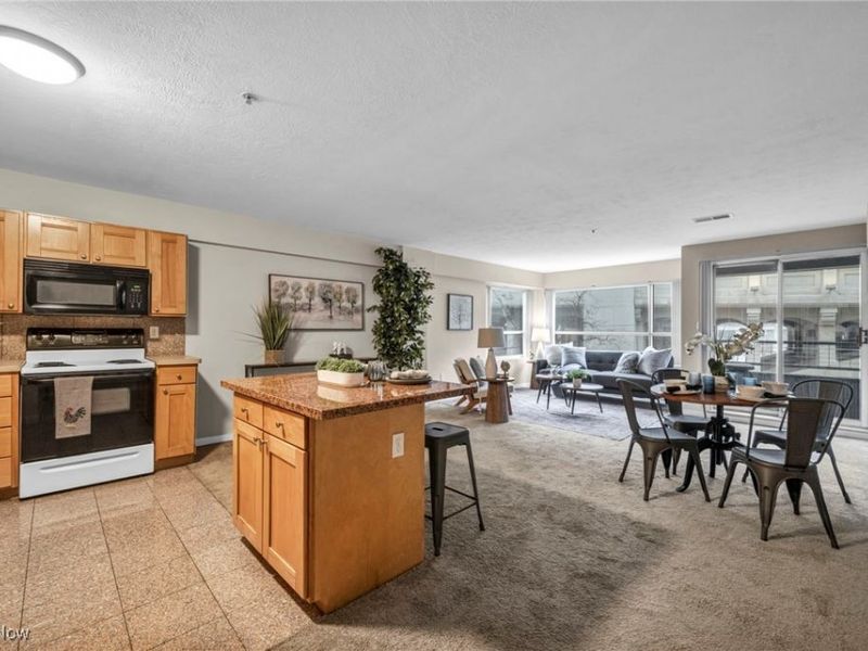 2222 Detroit Road, Unit 304, Cleveland, OH 44113 Photo 20