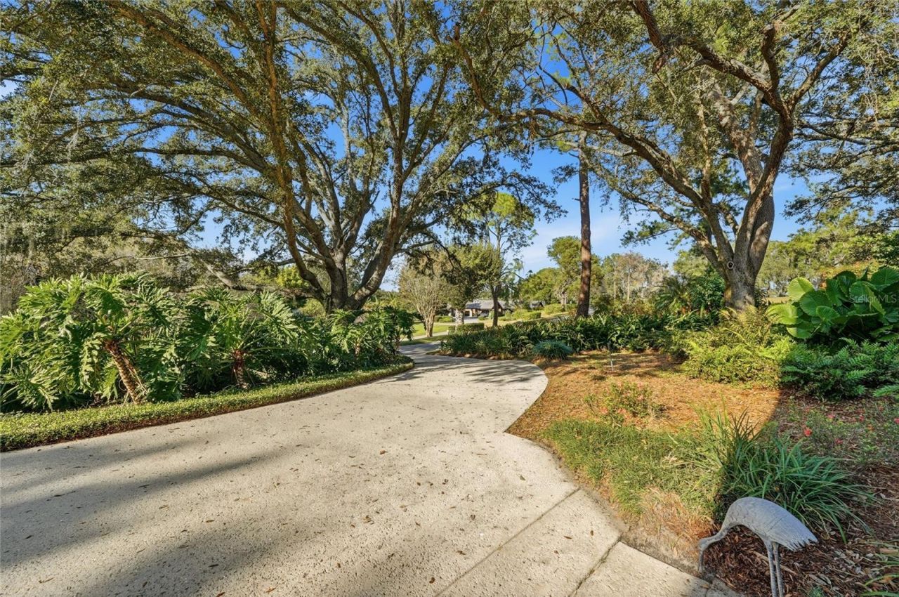 3 Brogden Court Se, Winter Haven, FL 33880 Photo