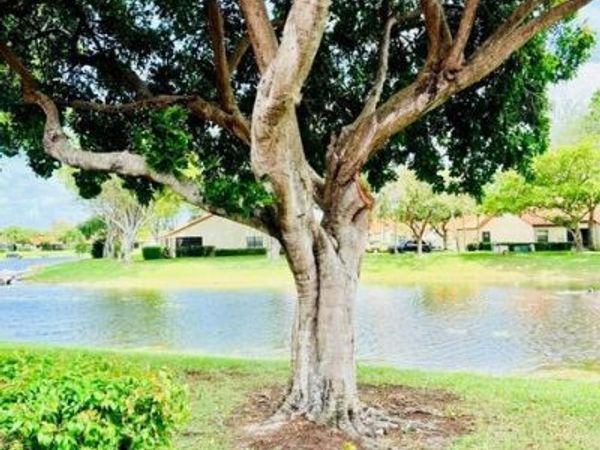 65 Centennial Court, Unit 65, Deerfield Beach, FL 33442