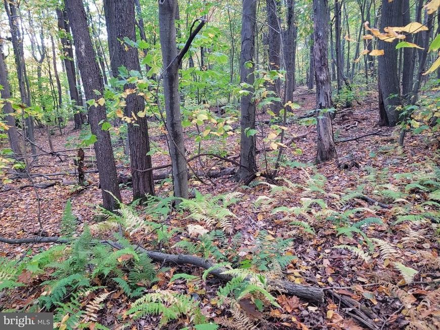 Lot 276 Ironmasters Sandlewood Way, Claysburg, PA 16625 Main Photo