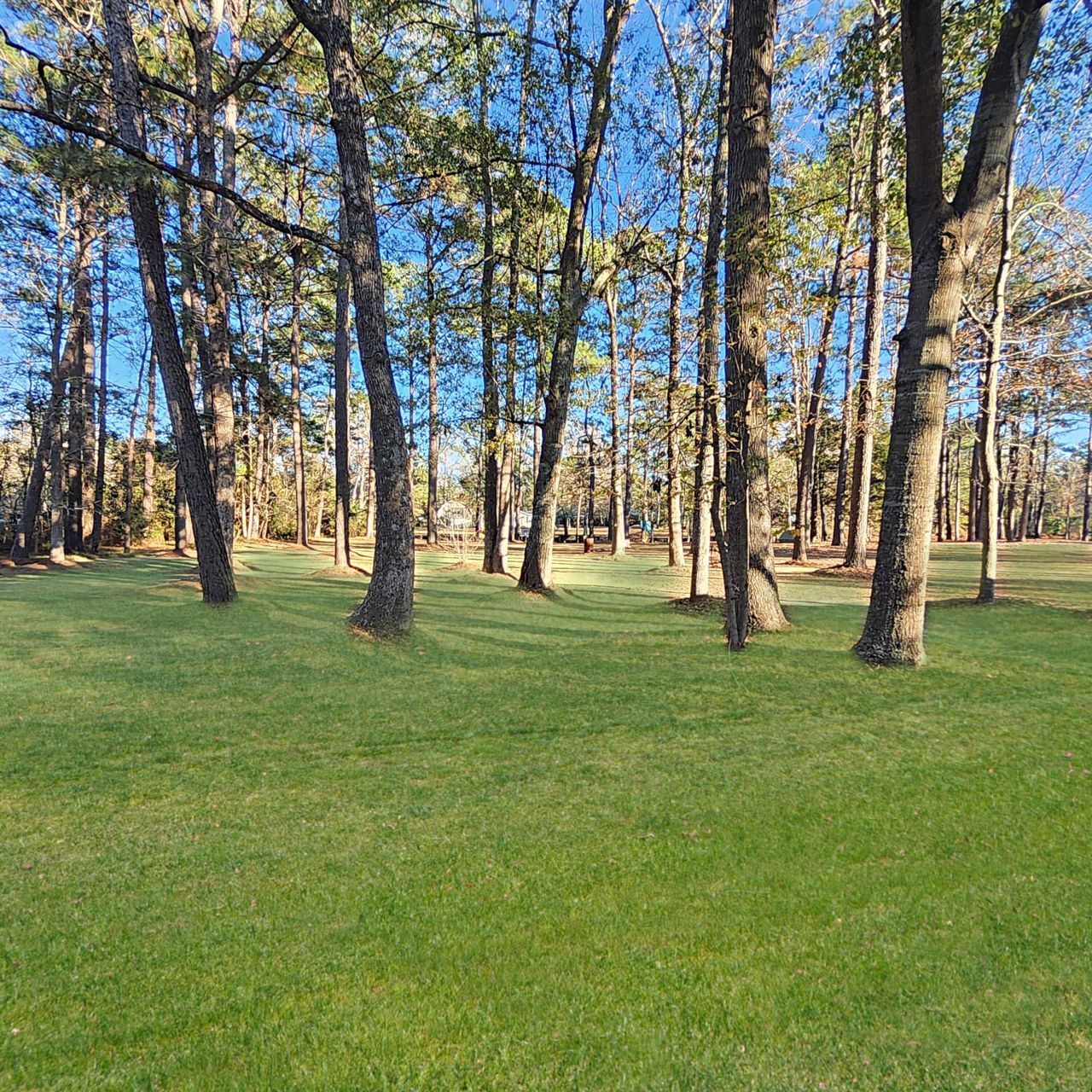 105 Jean Drive Photo 48