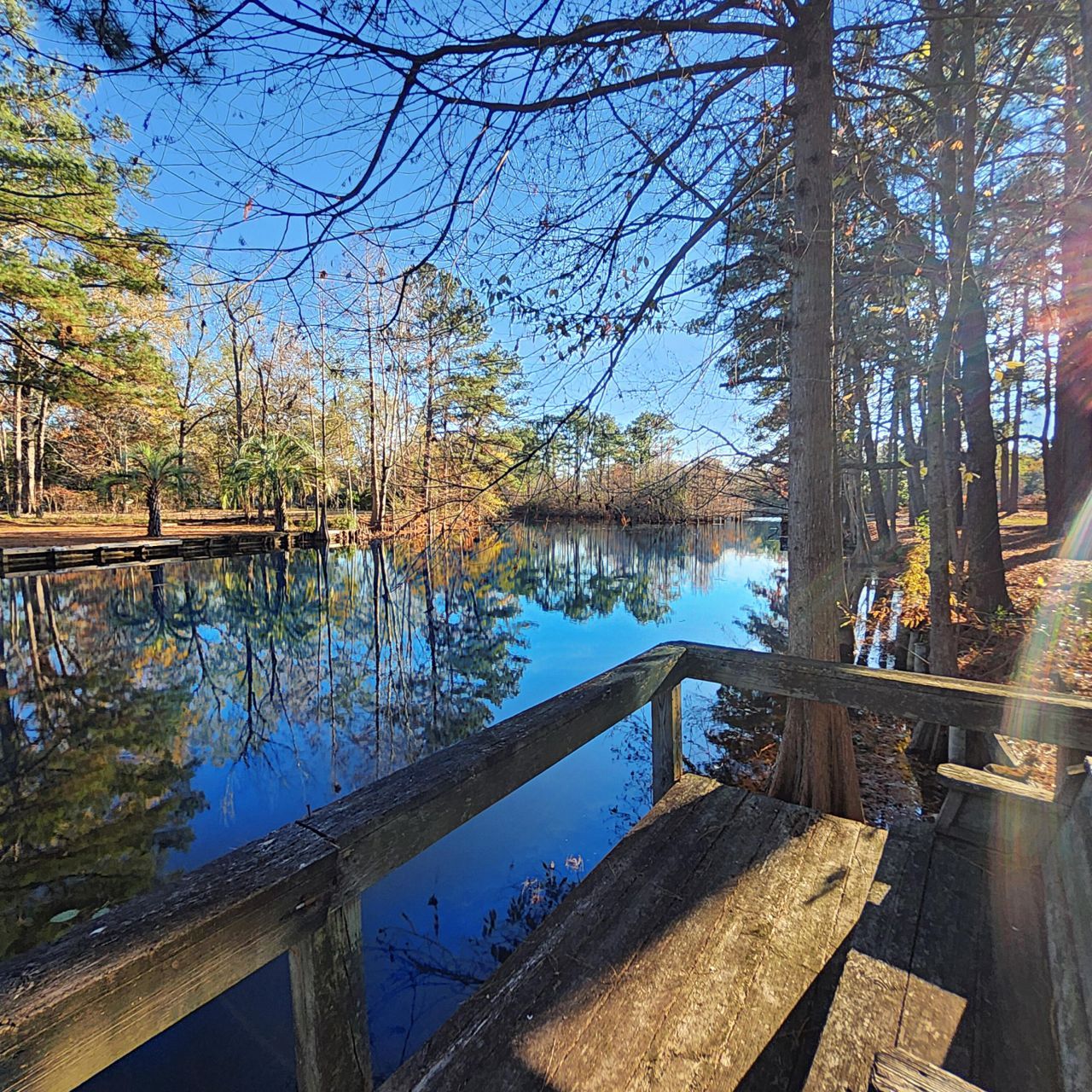 105 Jean Drive Photo 49